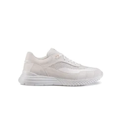 Best Sale Crocodile, Suede And Deer Leather Sneakers Sneakers