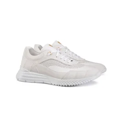 Best Sale Crocodile, Suede And Deer Leather Sneakers Sneakers