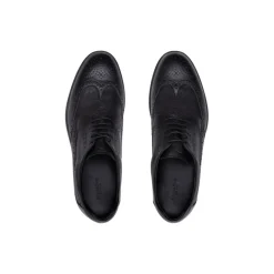 New Derby Brogue Shoes In Calfskin Leather Oxford & Derbies