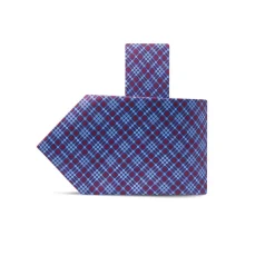Best Hand Printed Silk Tie Ties