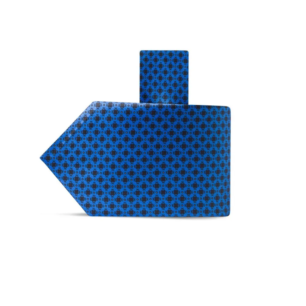 New Hand Printed Silk Tie Ties