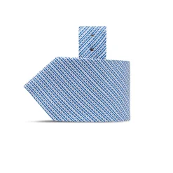 Clearance Hand Printed Silk Tie Ties