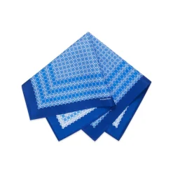 Best Hand Printed Silk Tie Set Ties