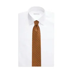 Best Sale Luxury Hand Printed Silk Tie Ties