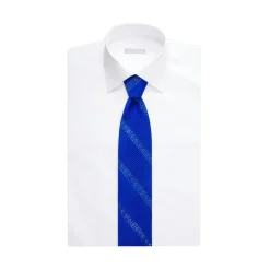 Store Luxury Pleated Silk Tie Formal Accessories