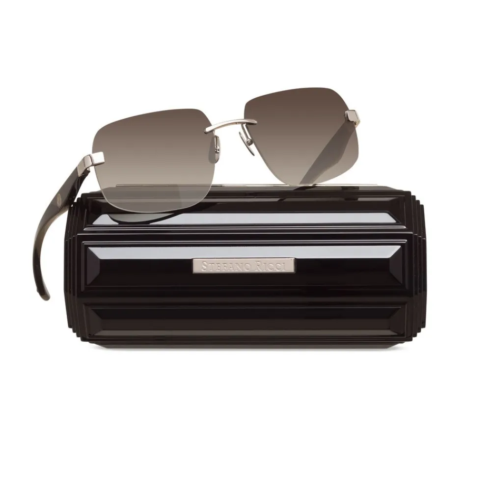 Hot Prestige Sunglasses Eyewear
